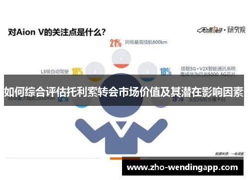 如何综合评估托利索转会市场价值及其潜在影响因素 如何综合评估托利索转会市场价值及其潜在影响因素