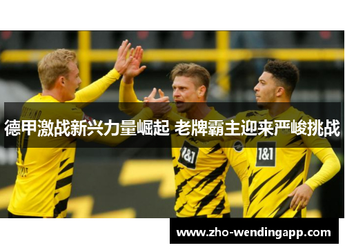 德甲激战新兴力量崛起 老牌霸主迎来严峻挑战