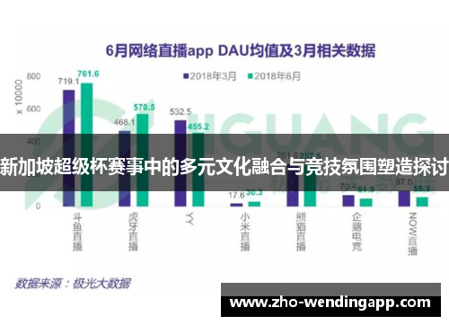 新加坡超级杯赛事中的多元文化融合与竞技氛围塑造探讨 新加坡超级杯赛事中的多元文化融合与竞技氛围塑造探讨