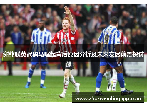 谢菲联英冠黑马崛起背后原因分析及未来发展前景探讨