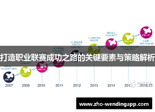 打造职业联赛成功之路的关键要素与策略解析 打造职业联赛成功之路的关键要素与策略解析
